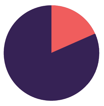 19 percent pie chart