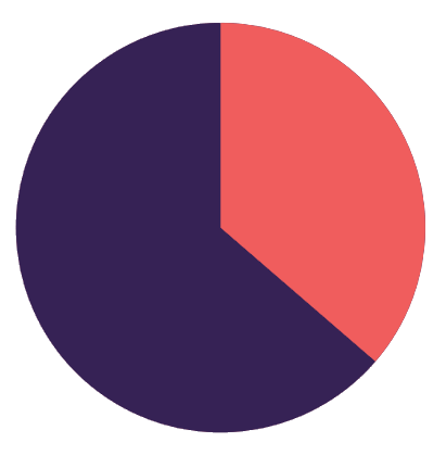 38 percent pie chart